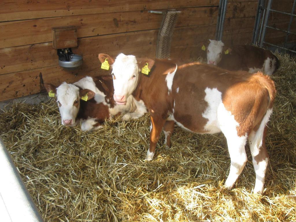 Ganhoer- Fam. Kaar Wintersdorf Zewnętrze zdjęcie